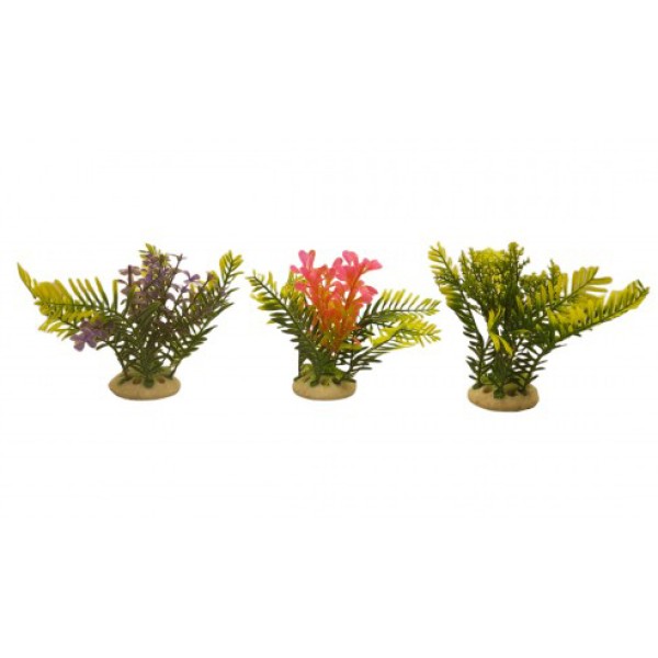 ΔΙΑΚΟΣΜΗΤΙΚΟ ΦΥΤΟ ΕΝΥΔΡΕΙΟΥ 12.5CM